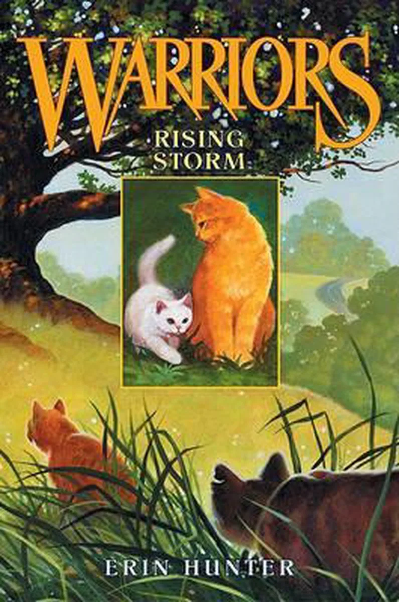 Rising Storm von HarperCollins – Buchfoto