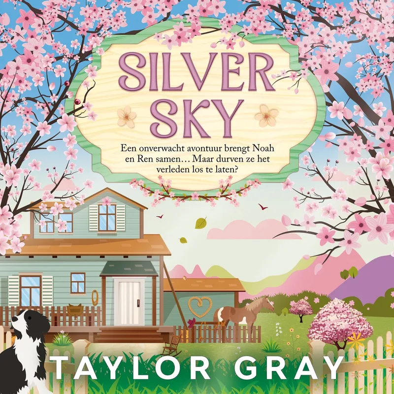 Silver Sky von HarperCollins – Buchfoto
