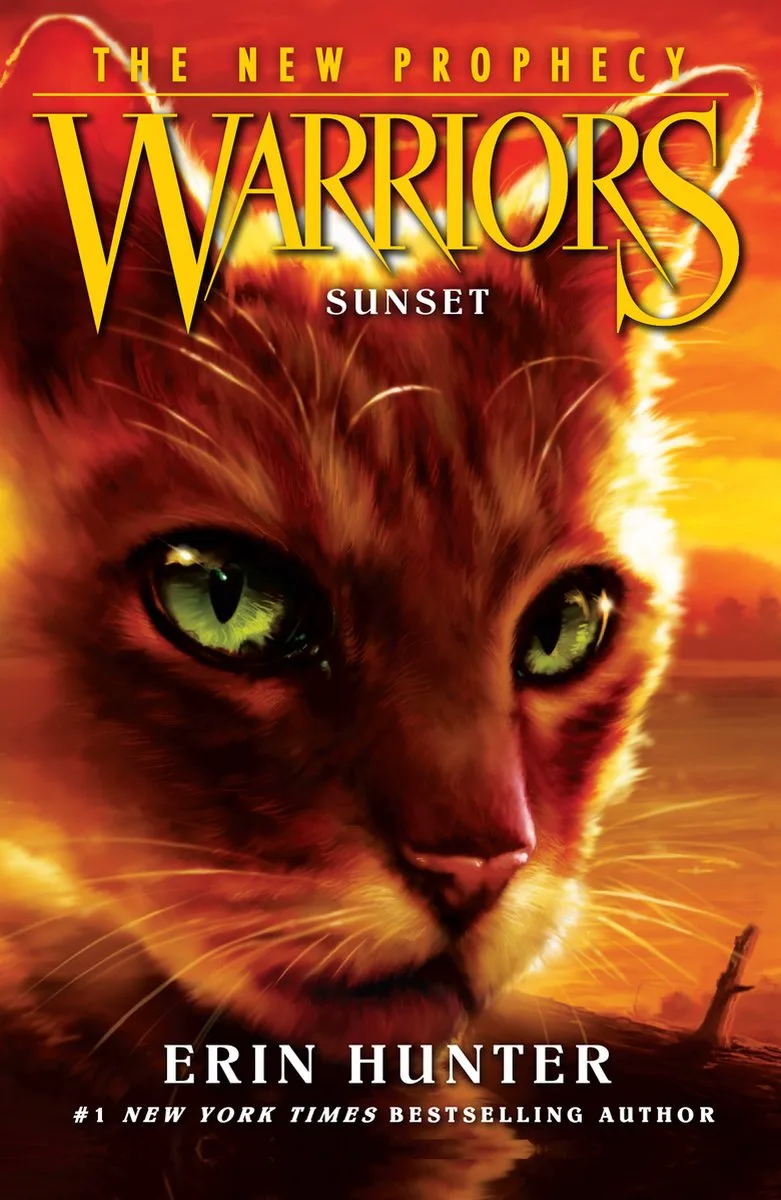Sunset von HarperCollins – Buchfoto