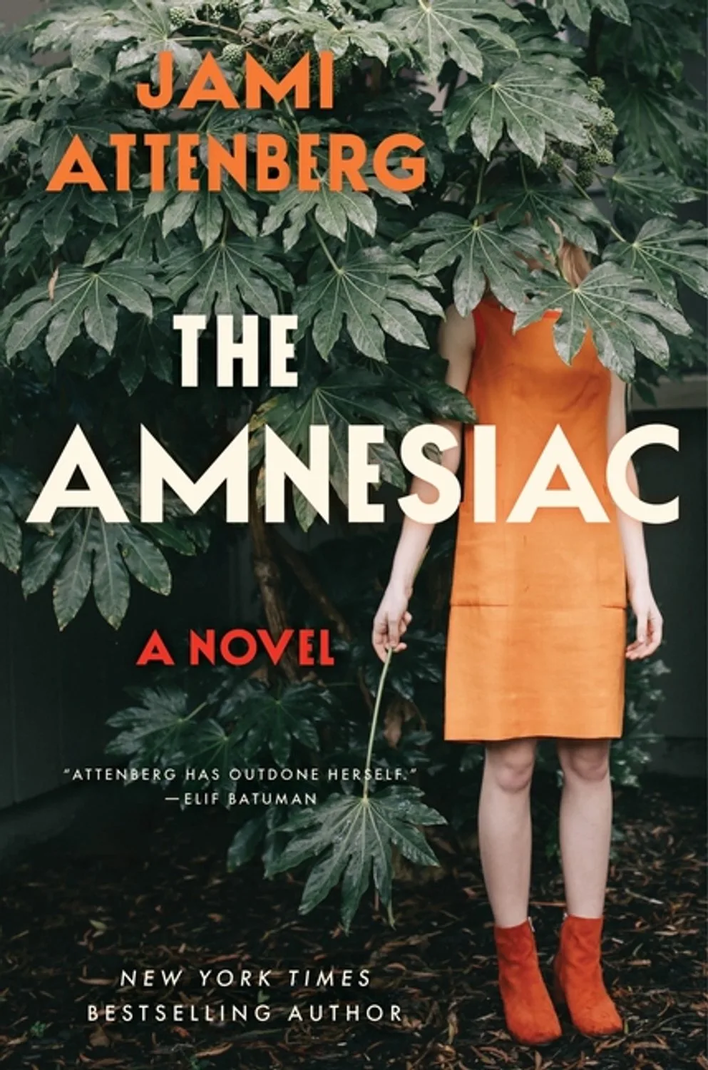 The Amnesiac by HarperCollins – book photo