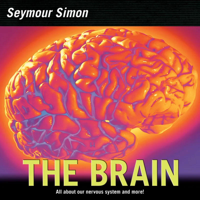 The Brain von HarperCollins – Buchfoto