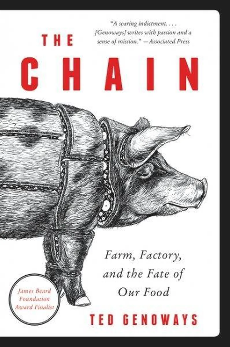 The Chain von HarperCollins – Buchfoto
