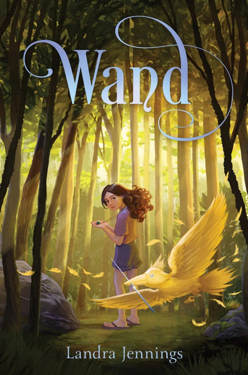 Wand de HarperCollins – photo du livre