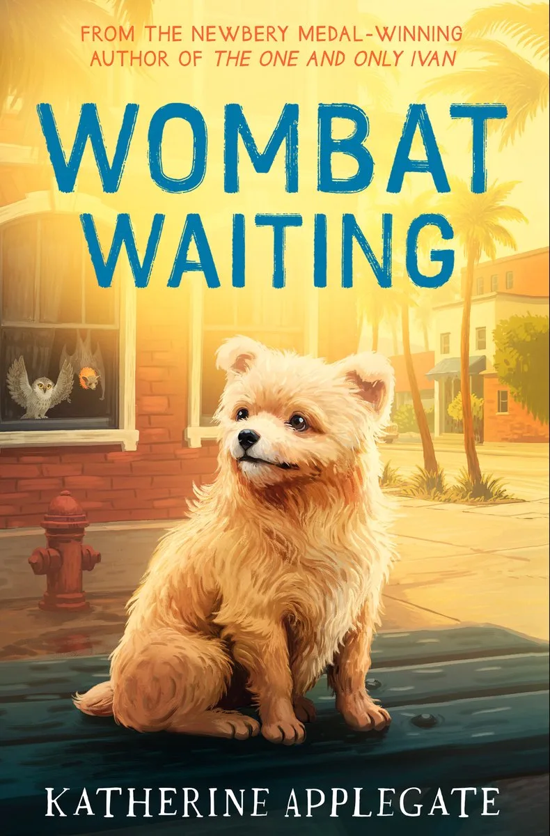 Wombat Waiting von HarperCollins – Buchfoto
