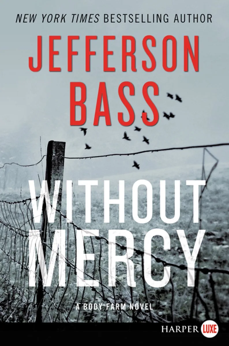 Without Mercy von HarperLuxe – Buchfoto