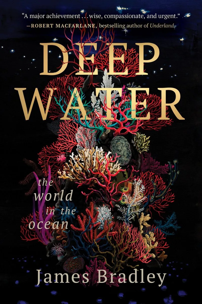 Deep Water von HarperOne – Buchfoto