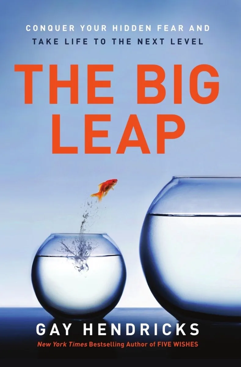 The Big Leap von HarperOne – Buchfoto