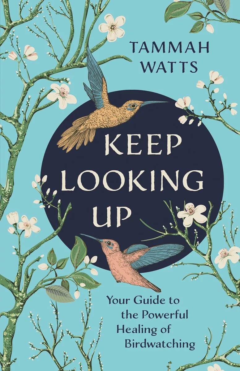 Keep Looking Up von Hay House – Buchfoto