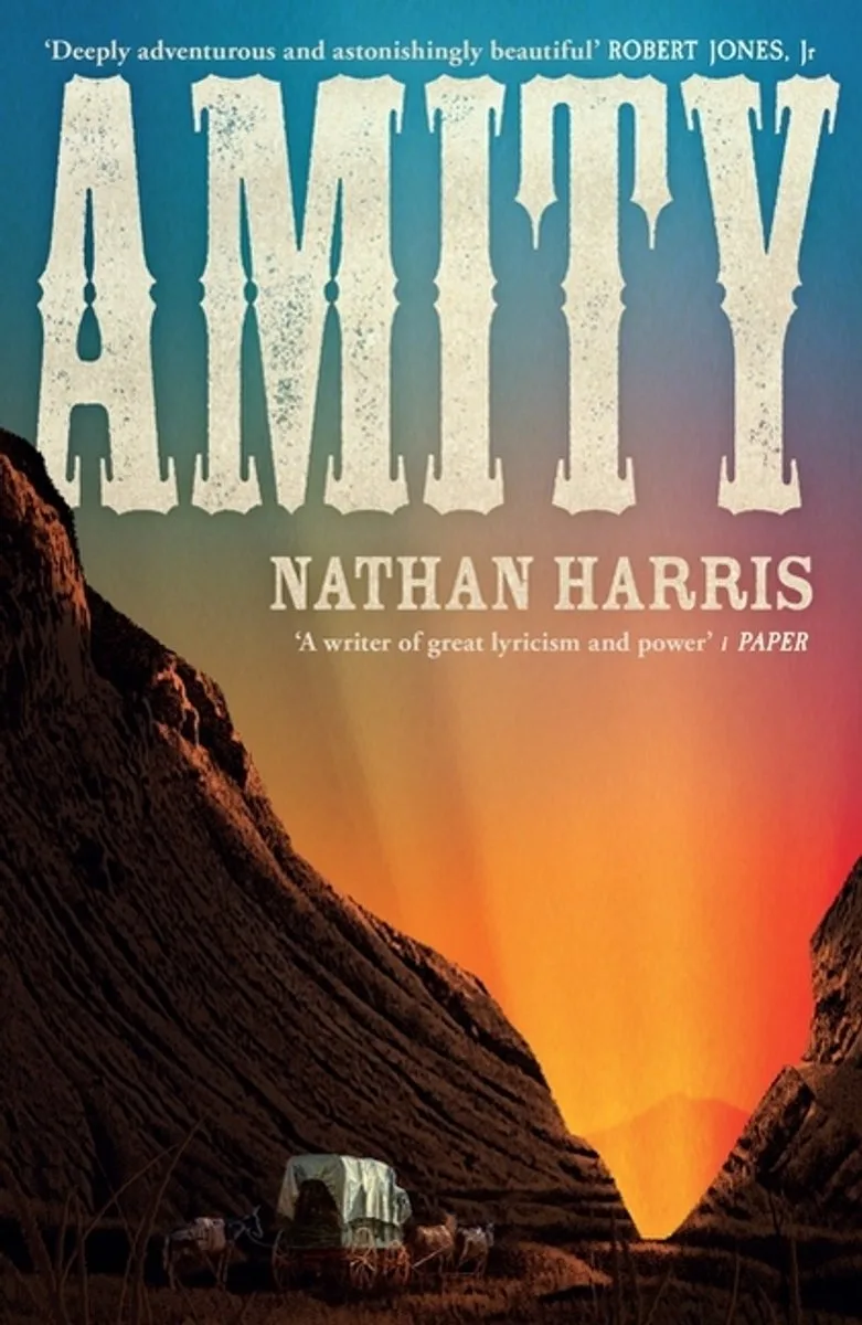 Amity by Headline – book photo