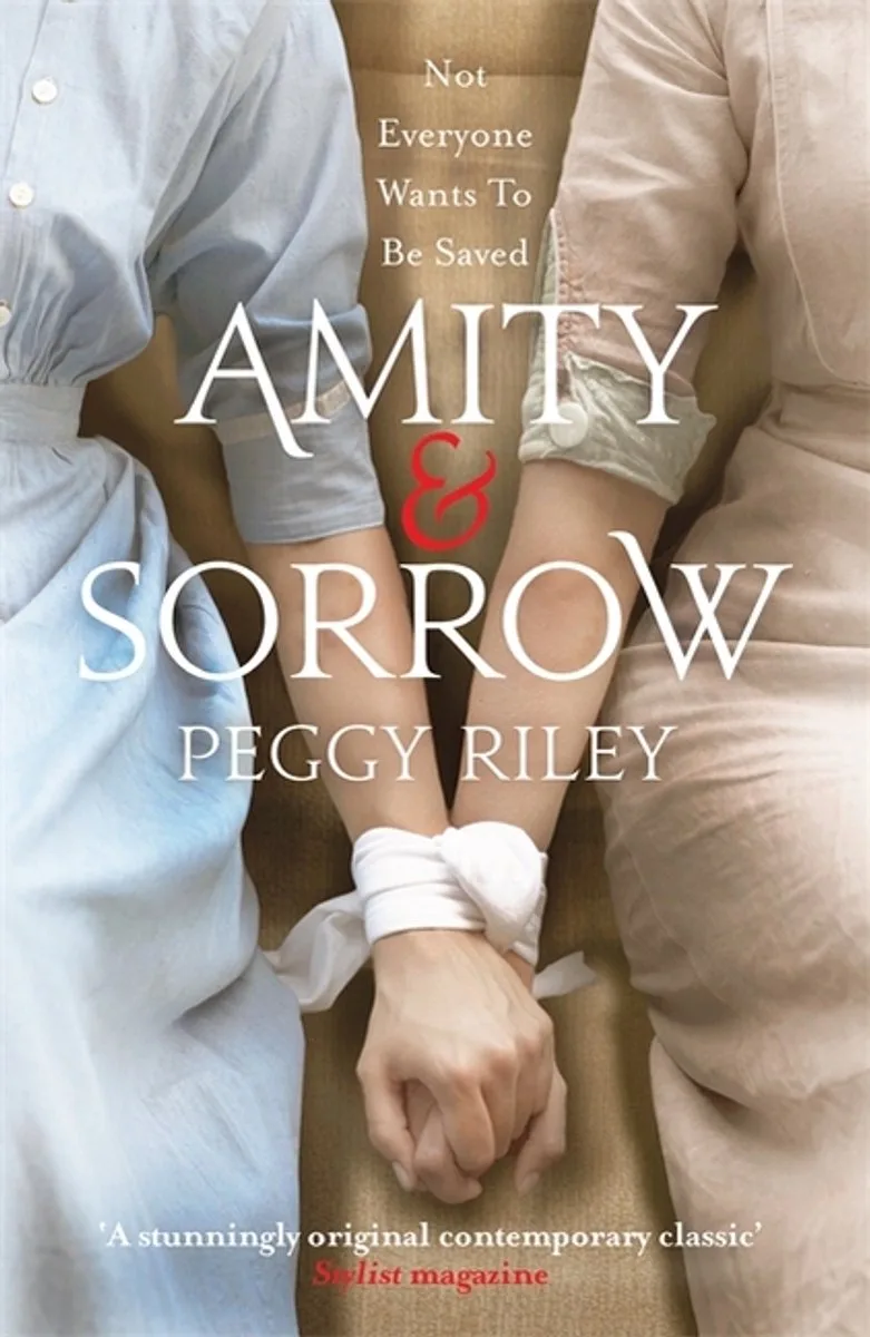Amity & Sorrow fra Headline – billede af bogen