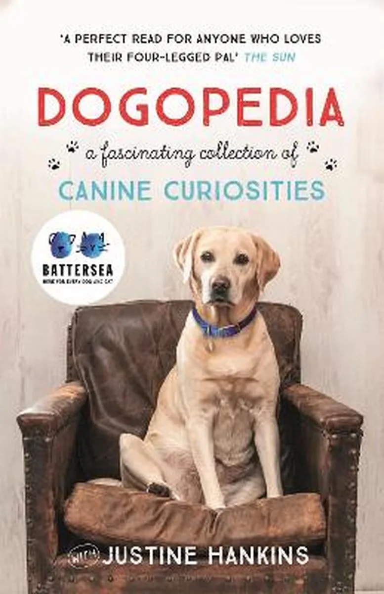 Dogopedia von Headline – Buchfoto