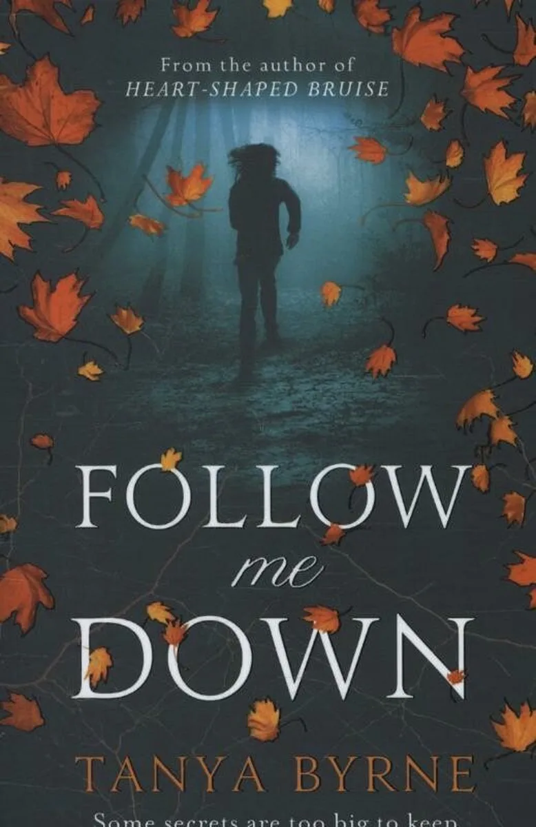 Follow Me Down von Headline – Buchfoto