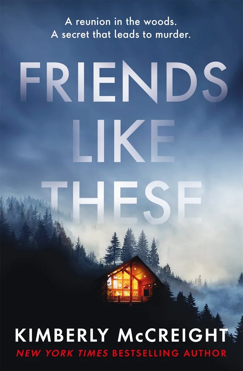 Friends Like These fra Headline – billede af bogen
