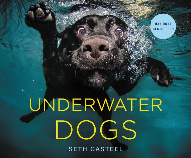 Underwater Dogs von Headline – Buchfoto