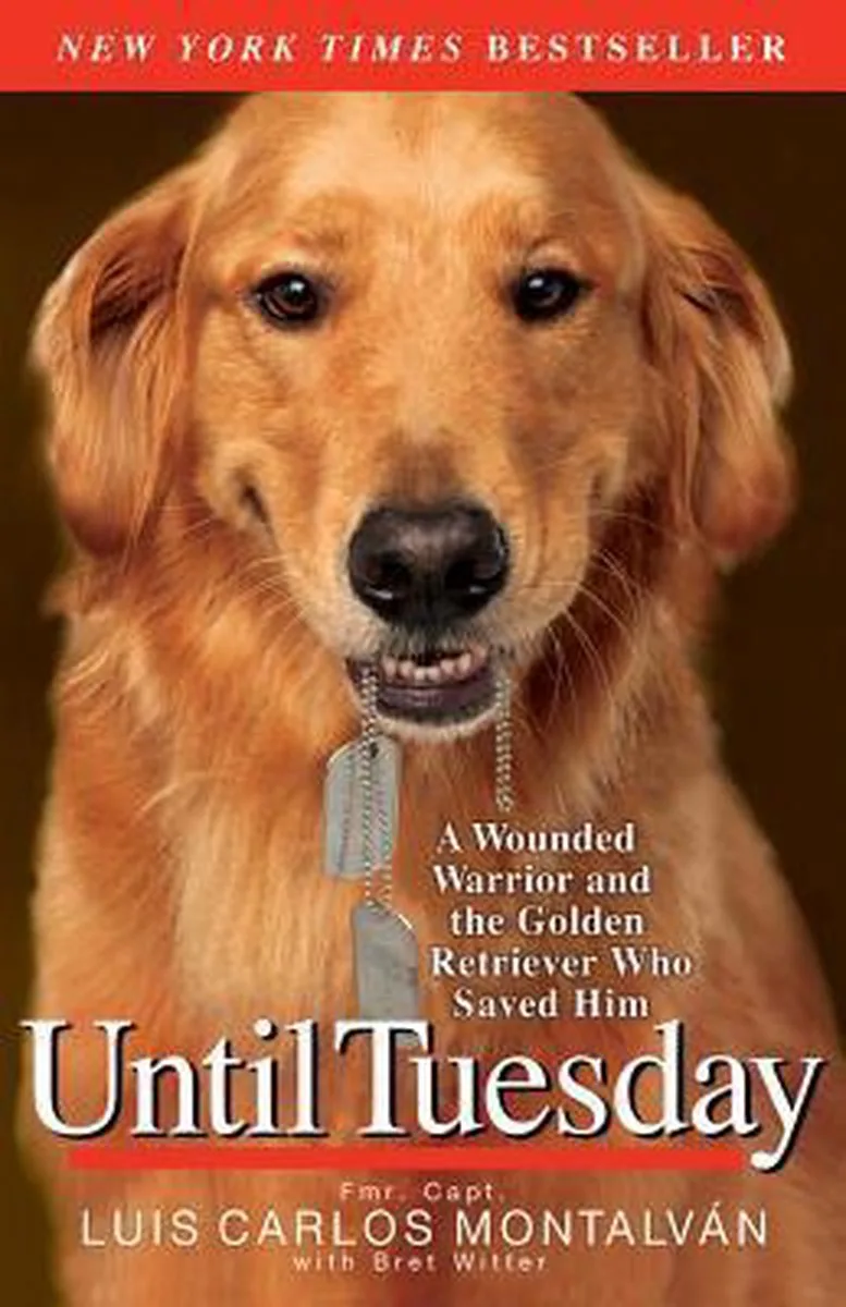 Until Tuesday de Headline – photo du livre