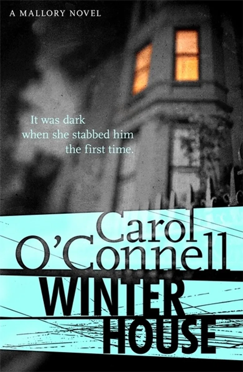 Winter House von Headline – Buchfoto