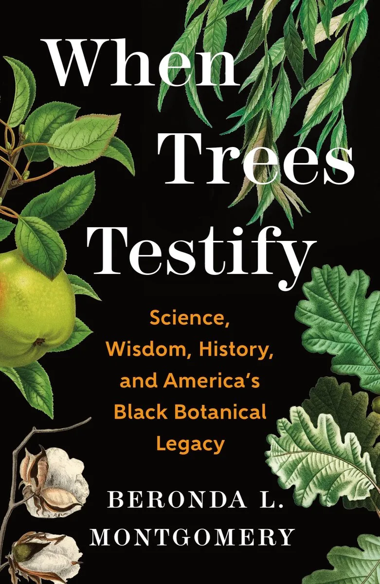 When Trees Testify von Henry Holt – Buchfoto