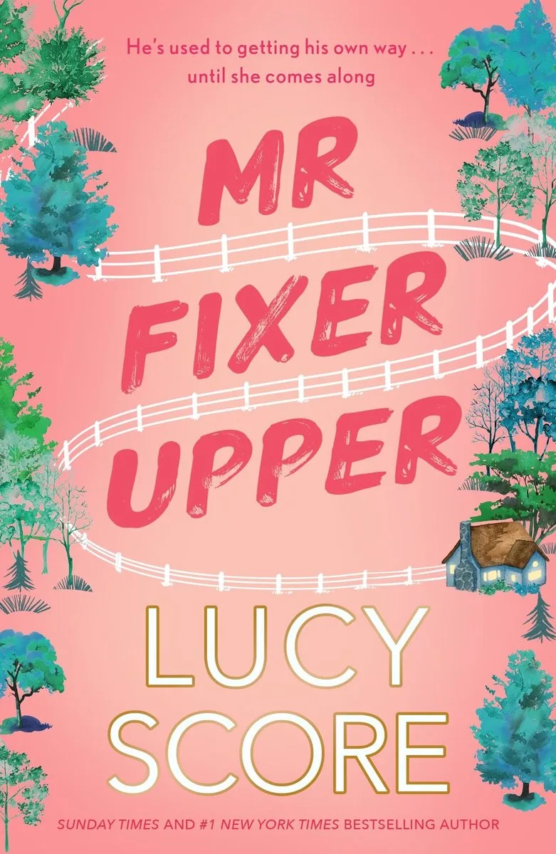 Mr Fixer Upper von Hodder & Stoughton – Buchfoto