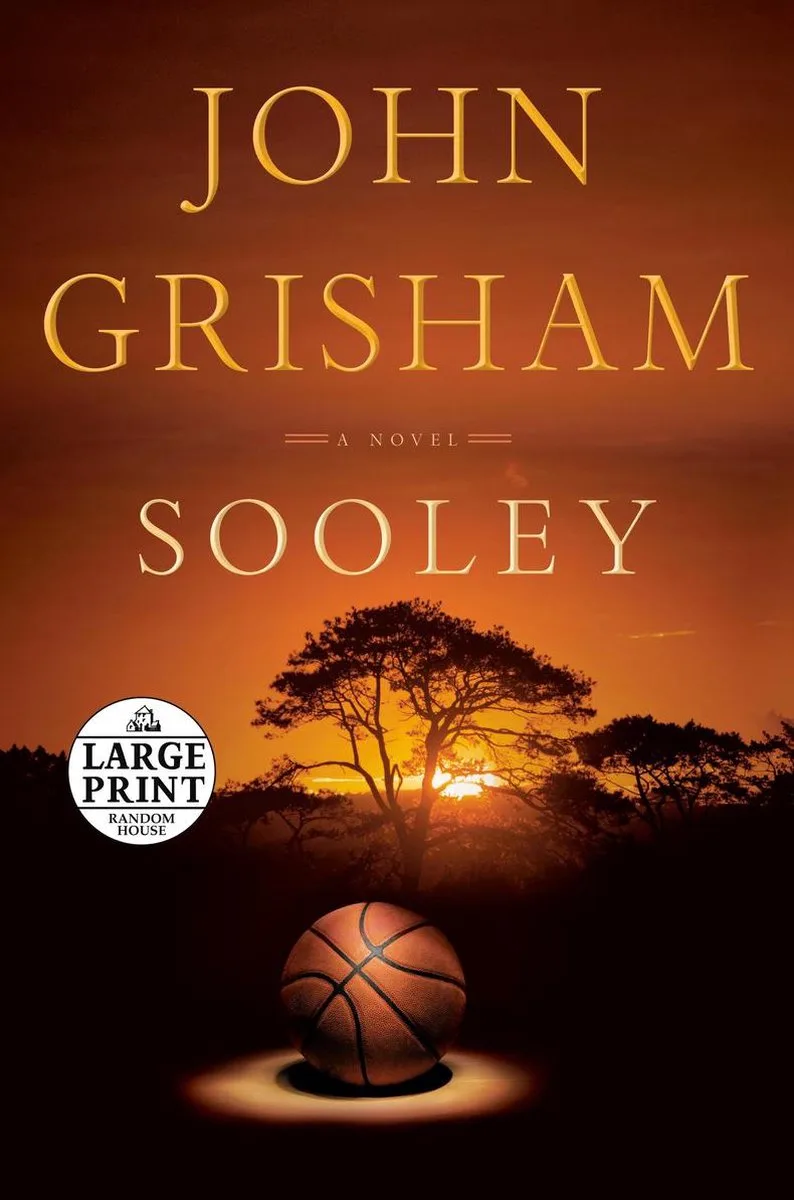 Sooley de Hodder & Stoughton – photo du livre