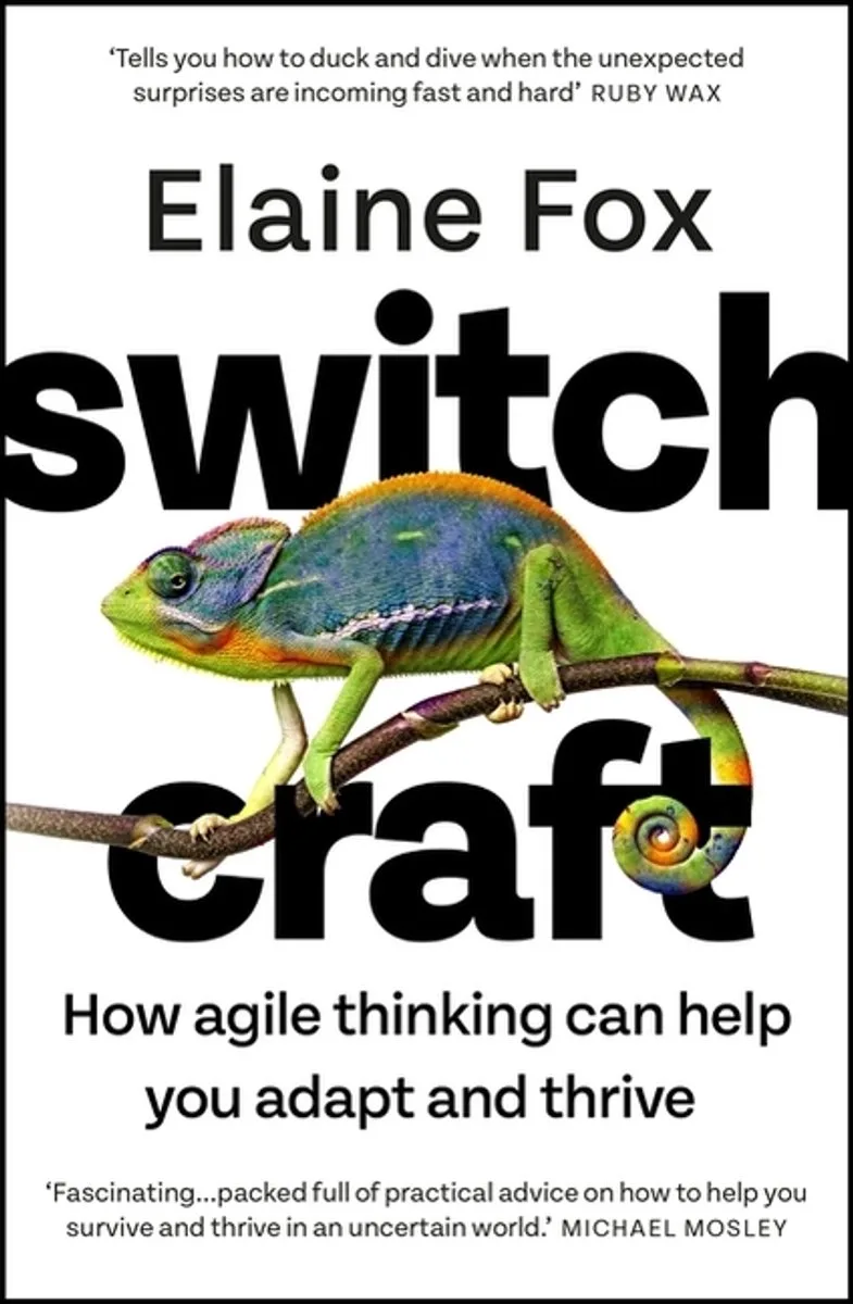 Switchcraft von Hodder & Stoughton – Buchfoto