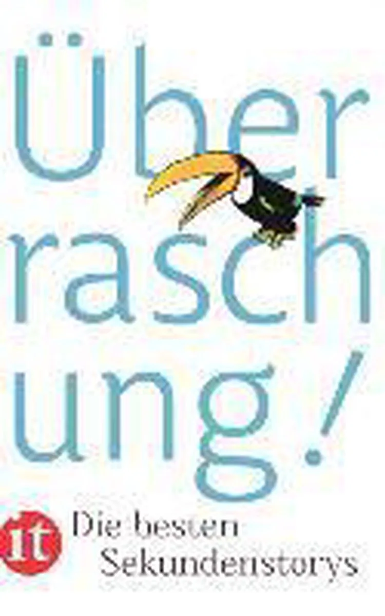 Überraschung! von Insel Verlag – Buchfoto