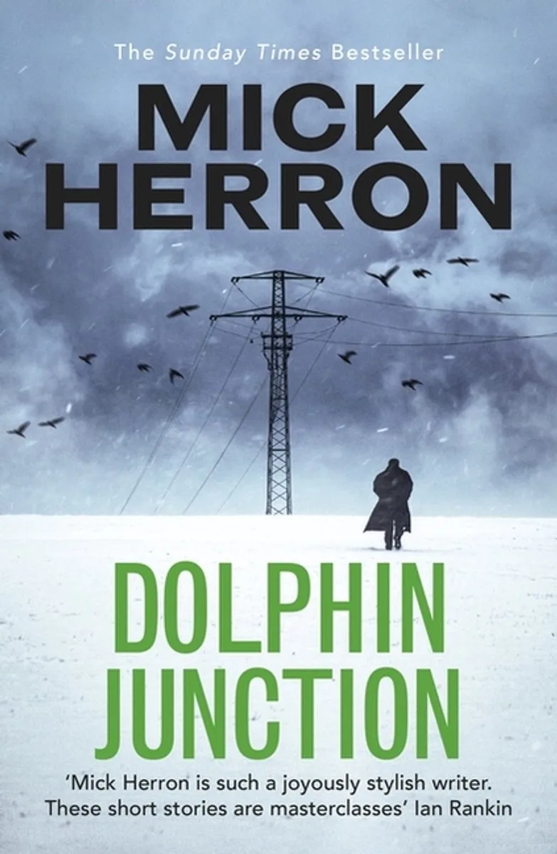 Dolphin Junction fra John Murray – billede af bogen