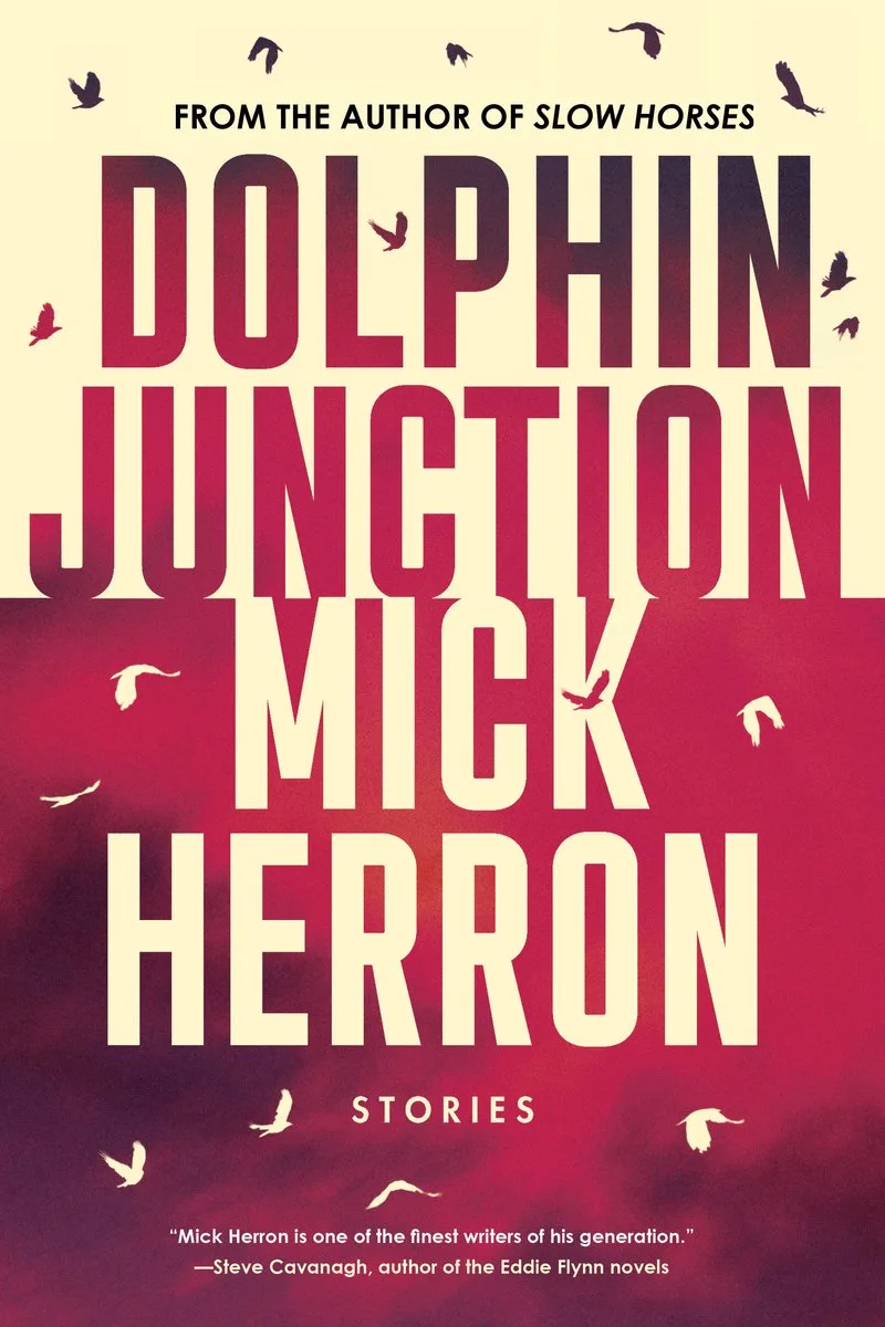 Dolphin Junction: Stories von John Murray – Buchfoto