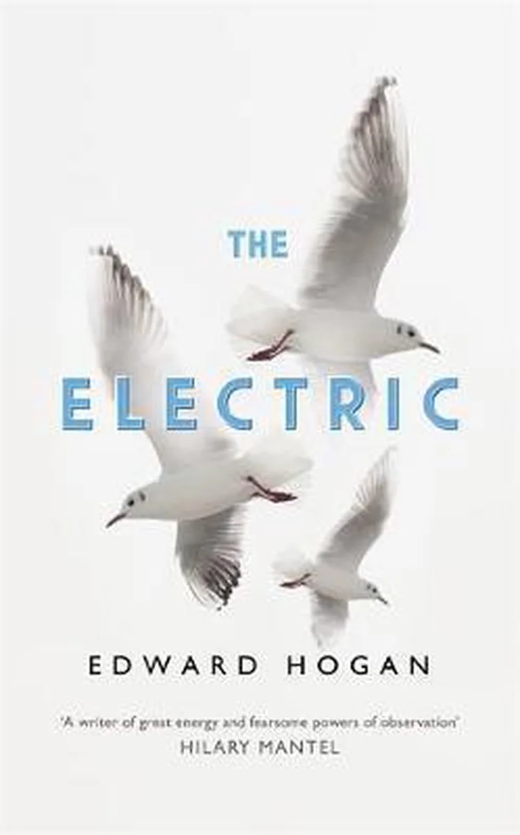 The Electric von John Murray – Buchfoto