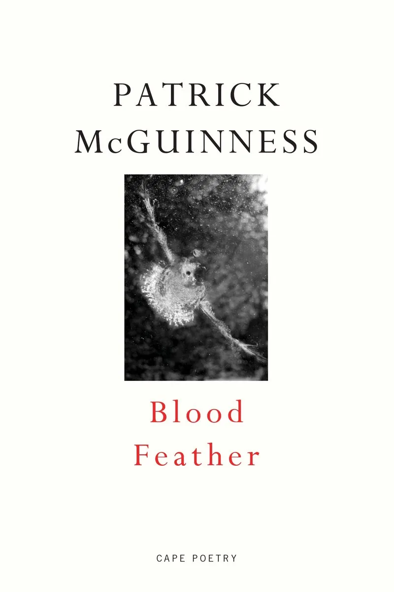 Blood Feather von Jonathan Cape – Buchfoto
