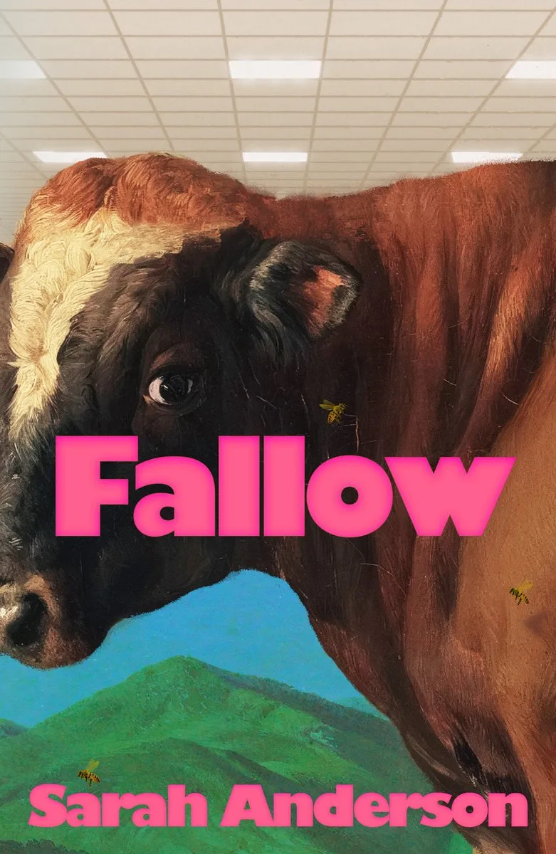 Fallow van Jonathan Cape – boekfoto