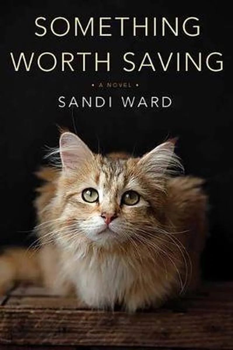Something Worth Saving de Kensington – photo du livre