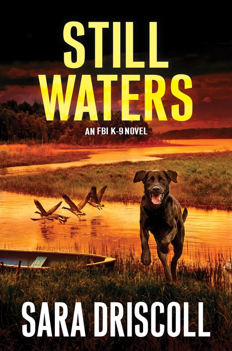 Still Waters fra Kensington – billede af bogen