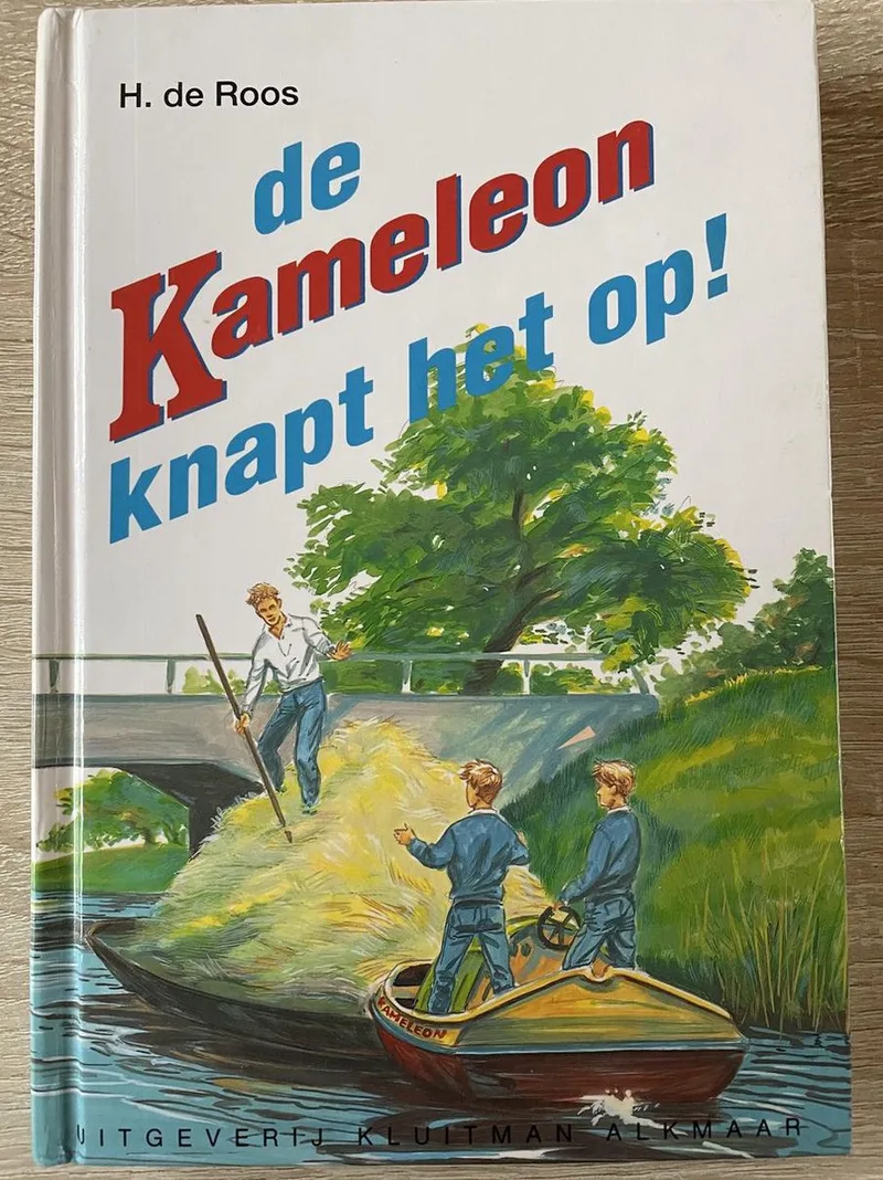 De kameleon knapt het op ! von Kluitman – Buchfoto