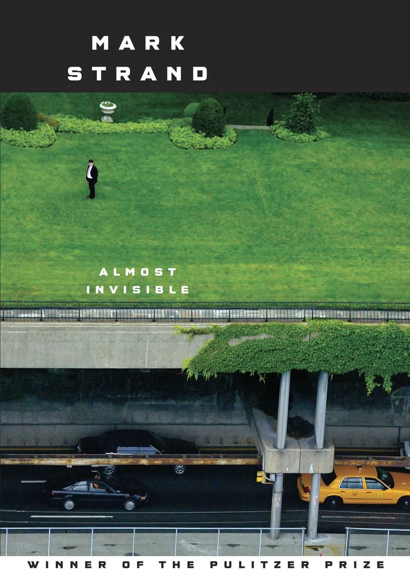 Almost Invisible fra Knopf – billede af bogen