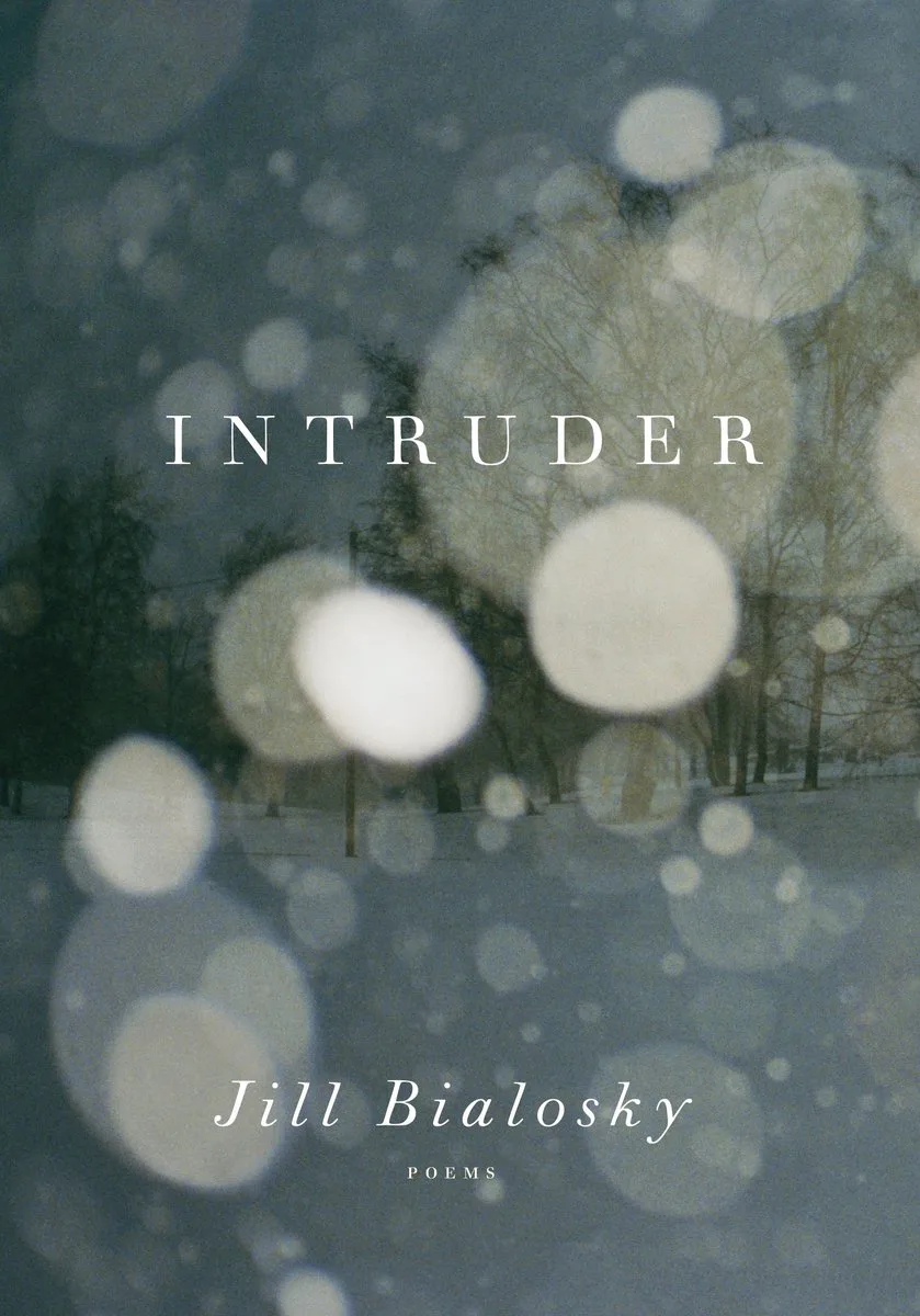 Intruder fra Knopf – billede af bogen