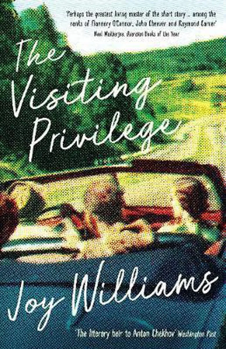 The Visiting Privilege van Knopf – boekfoto