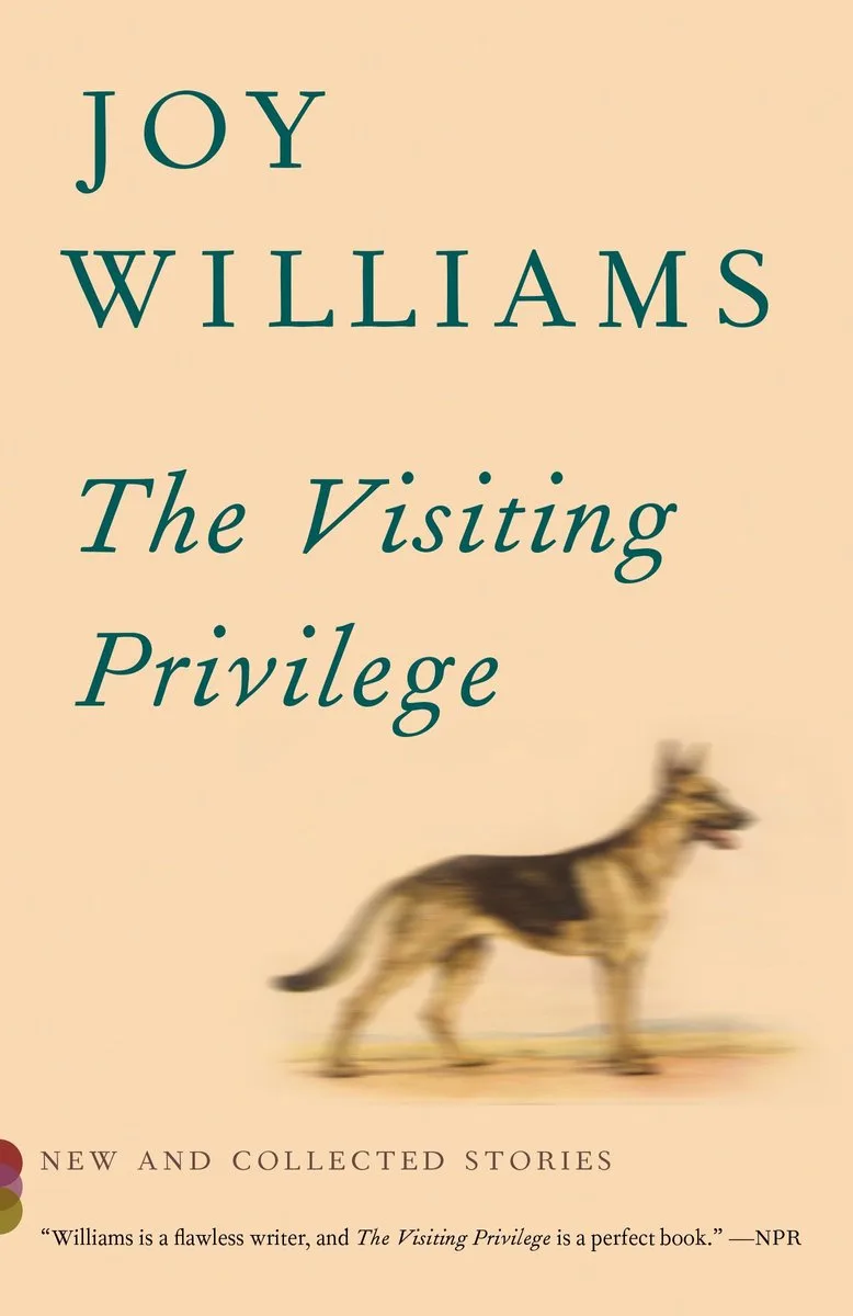 The Visiting Privilege van Knopf – boekfoto