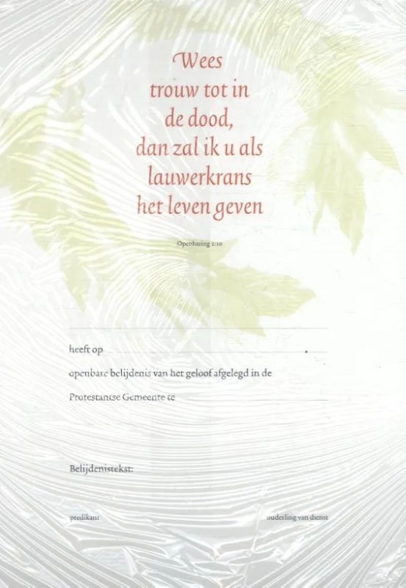 Belijdeniskaart 302 von Kok – Buchfoto