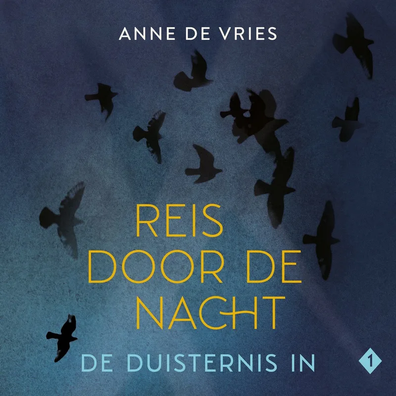 De duisternis in von Kok – Buchfoto
