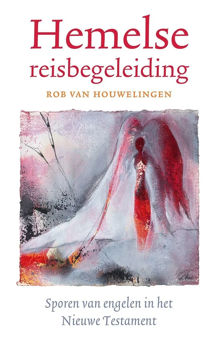 Hemelse reisbegeleiding van Kok – boekfoto