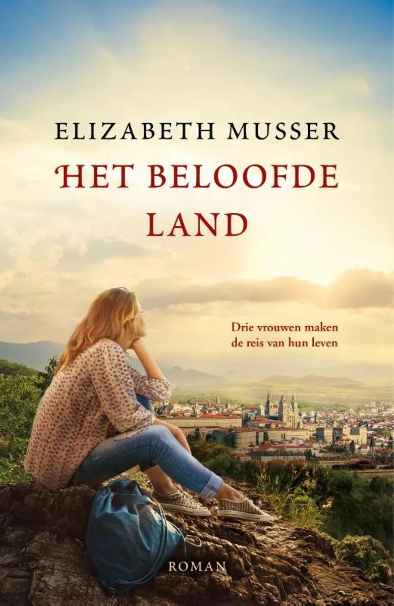Het beloofde land von Kok – Buchfoto