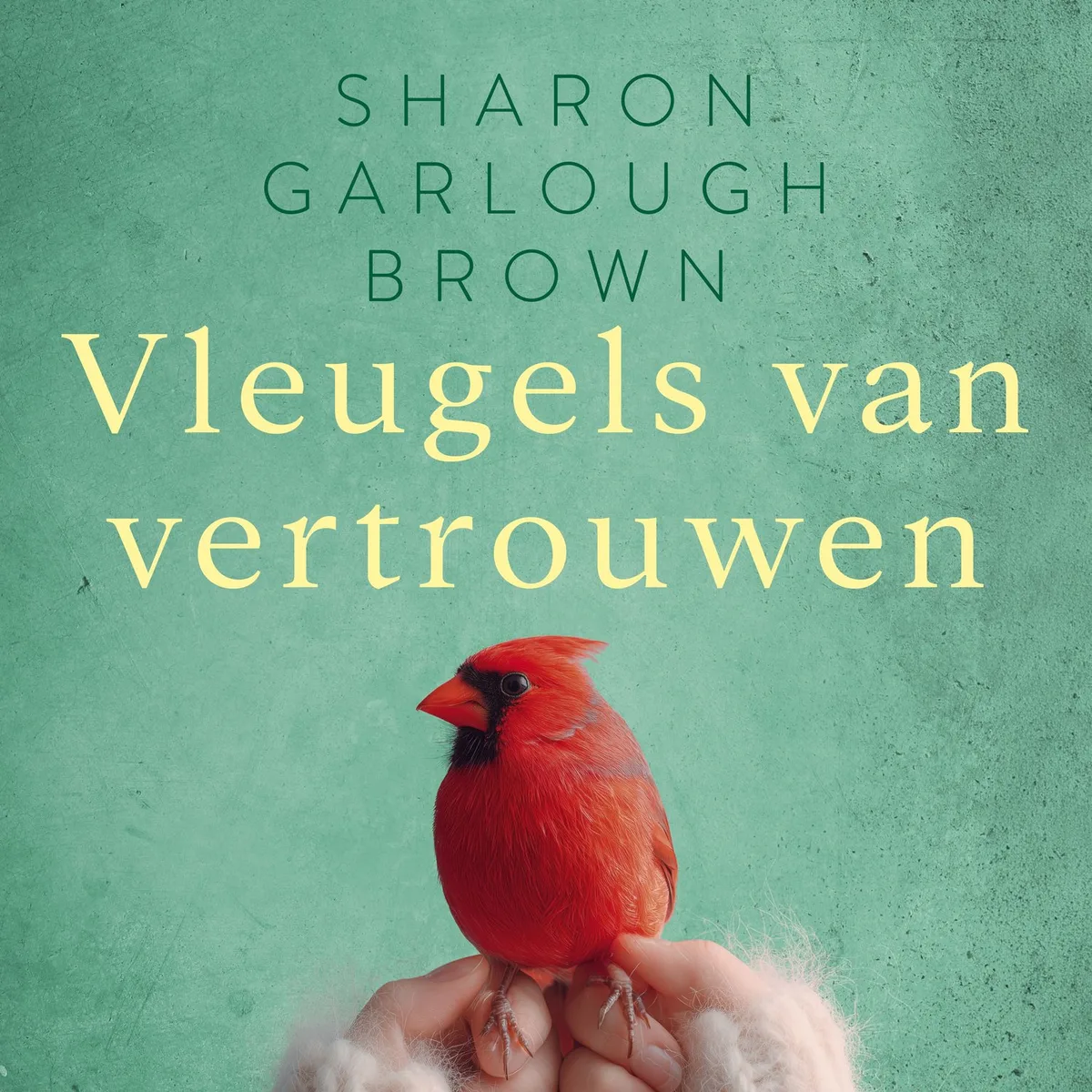 Vleugels van vertrouwen fra Kok – billede af bogen