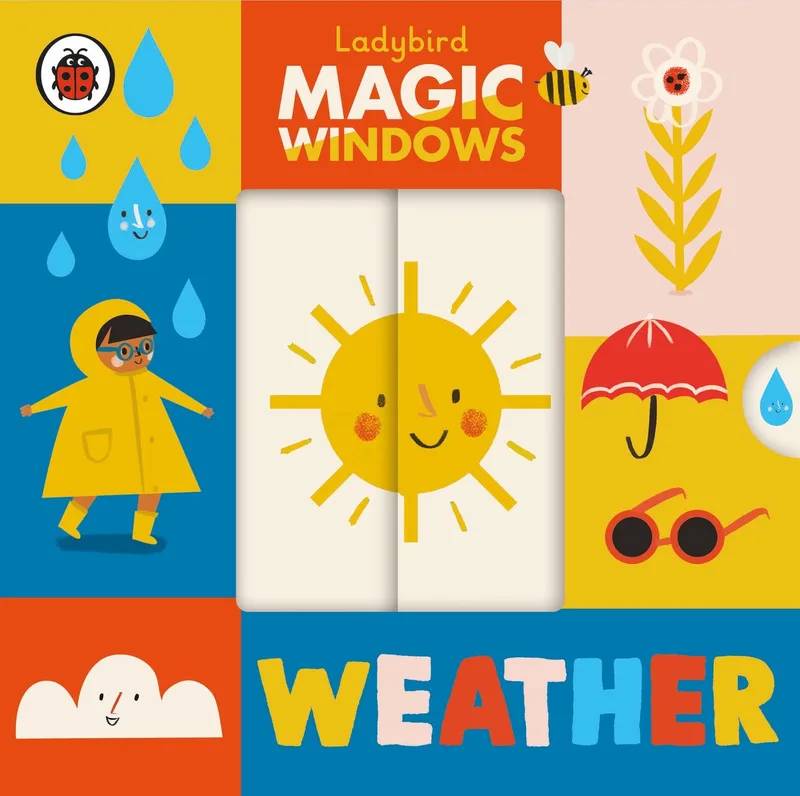 Magic Windows Weather von Ladybird – Buchfoto