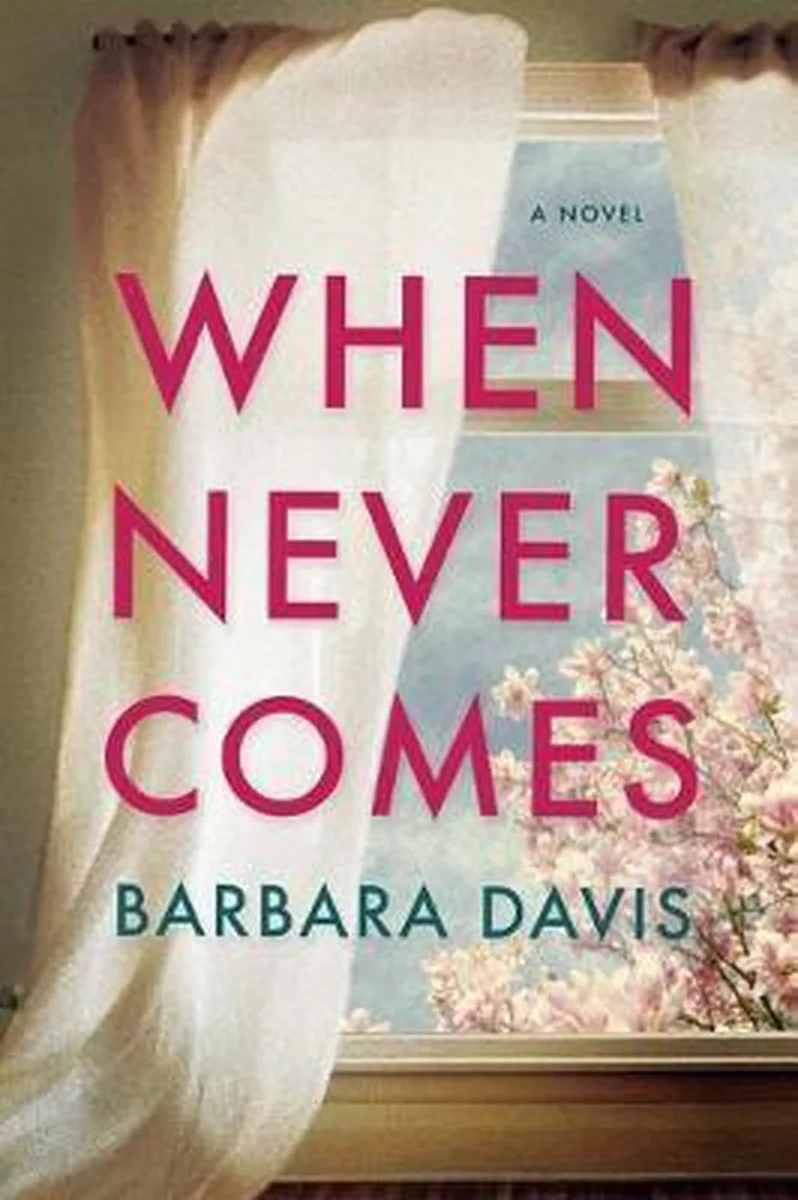 When Never Comes von Lake Union Publishing – Buchfoto