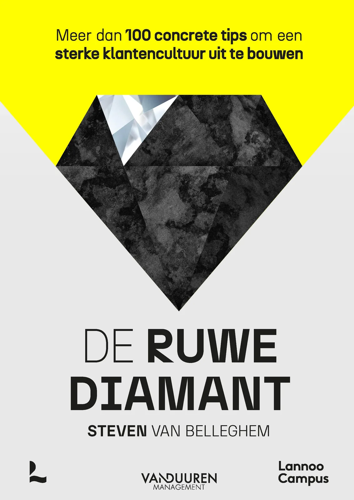 De ruwe diamant fra Lannoo – billede af bogen