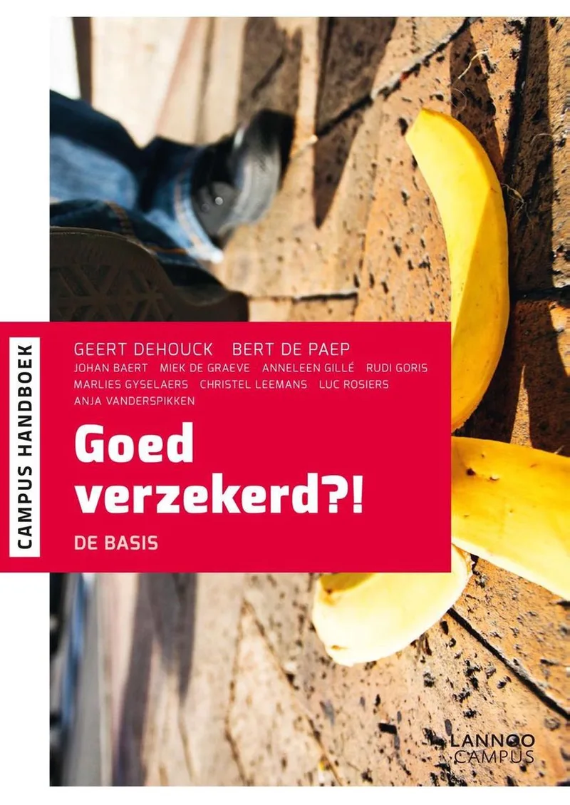 GOED VERZEKERD?! von Lannoo – Buchfoto