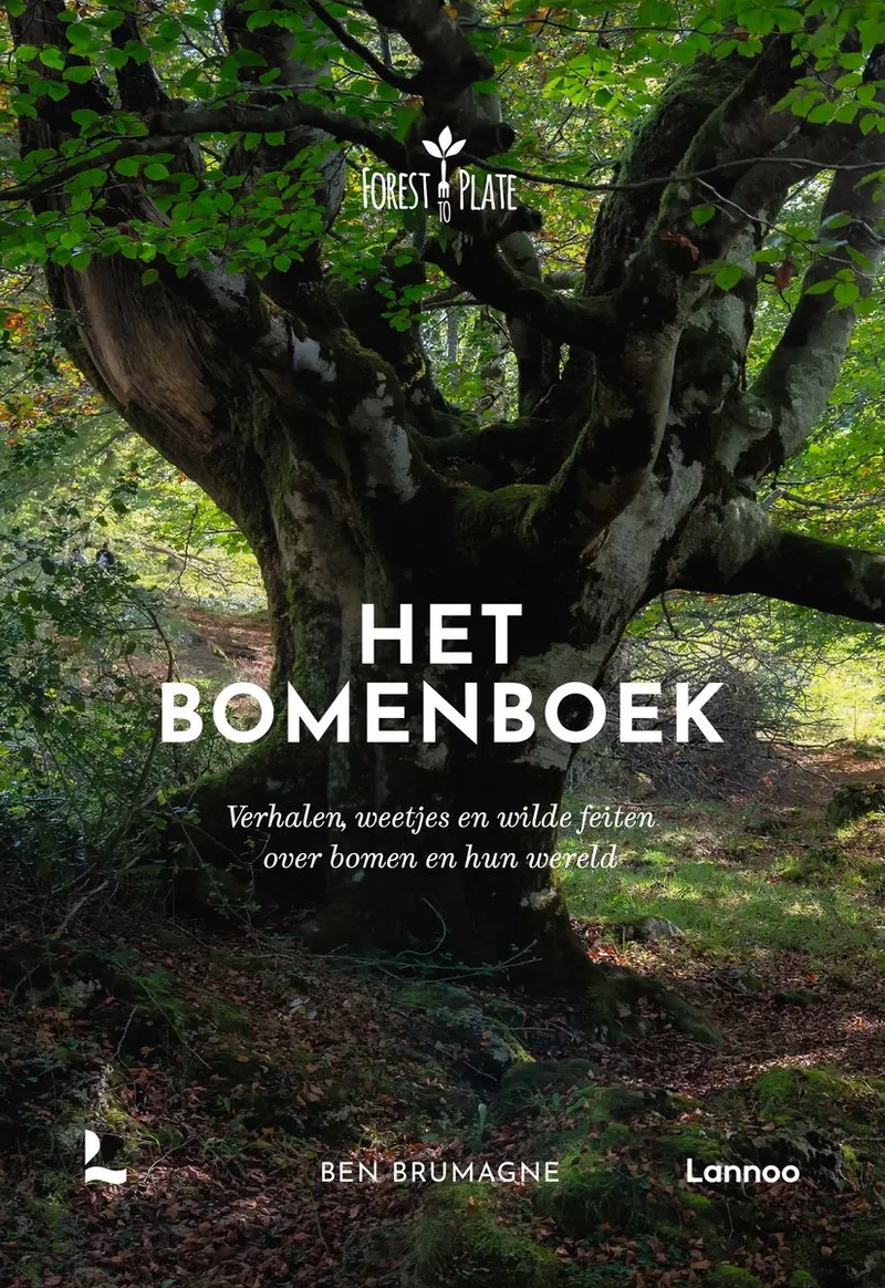 Het bomenboek von Lannoo – Buchfoto