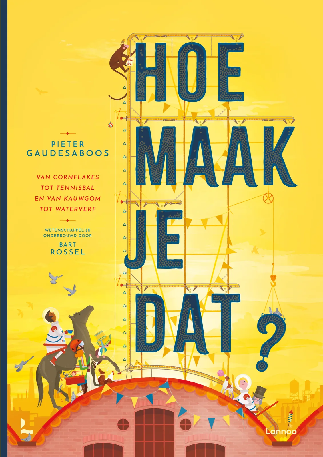 Hoe maak je dat? de Lannoo – photo du livre