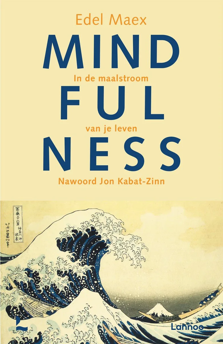 Mindfulness van Lannoo – boekfoto
