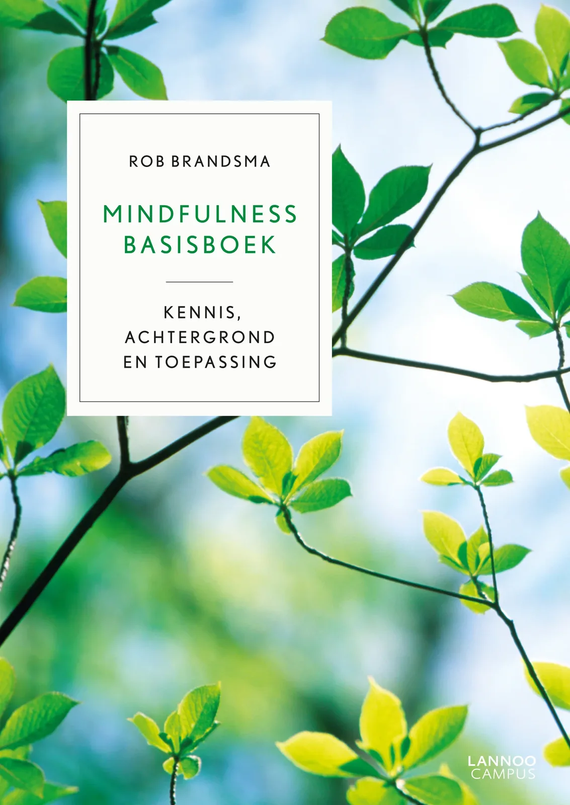 Mindfulness Basisboek van Lannoo – boekfoto